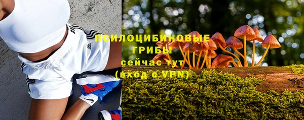крисы Ахтубинск