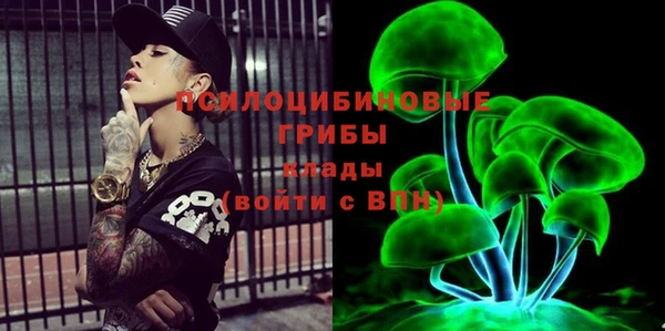 амф Няндома