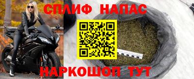 твердый Камышлов