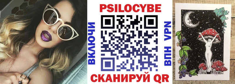 Галлюциногенные грибы Psilocybine cubensis  Калининград 