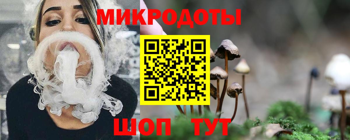 Псилоцибиновые грибы Psilocybine cubensis Калининград